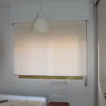 Apartament Sonya Anis Casco Antiguo *