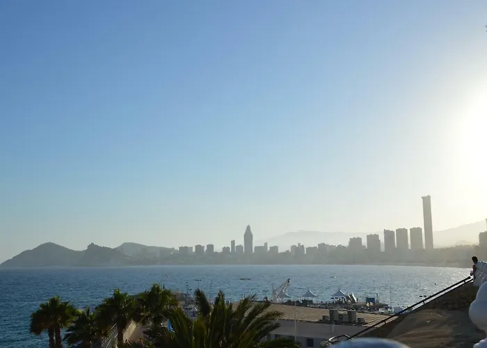 Sonya Anis Casco Antiguo בנידורם